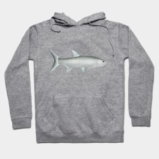 Indo-Pacific Tarpon Hoodie